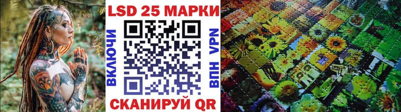дарк нет телеграм  Тайга  Марки NBOMe 1500мкг 