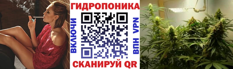Конопля Amnesia  Тайга 